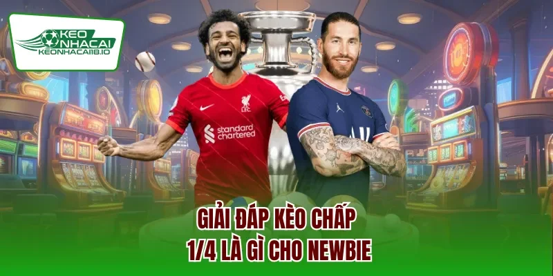 Giải đáp kèo chấp 1/4 là gì cho Newbie